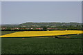 Farmland at Cotlake