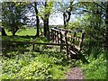 Footbridge across Park Brook