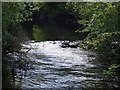 The River Bann at Dunbar