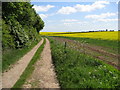 Archaeological Way near Roseland Farm