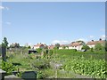 Allotments - Grange Avenue