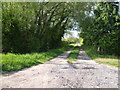 Track near Willow Tree Farm