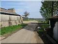 Road from Bodsham towards Hill Street