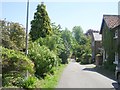 Inholmes Lane - viewed from Edgerton Drive