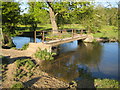 River Ver: Footbridge near Chalkdell Wood