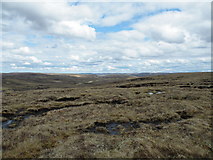 NH6112 : Coignafearn 762m Top high Moorland looking east by Sarah McGuire