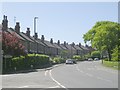 Leeds Road - viewed from Stutton Road