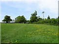 Field next to Church Lane