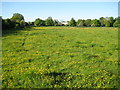 River Ver flood meadows at Sopwell