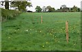 Field near Heath Farm