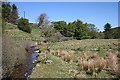 The Dullan Water Near Milton of Laggan