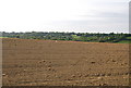 TQ6139 : Fallow field north of The Tunbridge Wells Circular Walk by N Chadwick