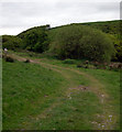 Path in valley off Croes-y-ceiliog