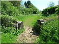 Bridleway towards Skerne Leys