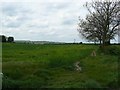 Field at Toton