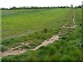 Path at Toton