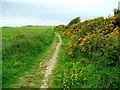 Footpath to the coast