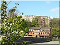 Houses in The Park