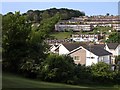 East side of Lyme Bay estate