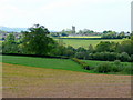 View west from Stoford Lane