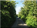 Minor road south-west of Penrhyd Lastra