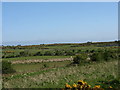 The disused Central Anglesey Railway near Llain Delyn