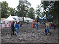 Festival mud