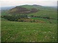 On the flanks of Moel y Plas looking north to Ty