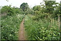 Footpath alongside the disused Alderman canal