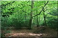 Bridleway near Mill Lane