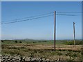 View north-westwards across heathland near Gwredog