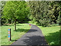 Cyclepath in Holywells park