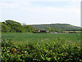 Locks Green Farm