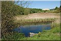 Saltwells Nature Reserve