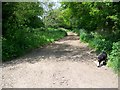 Restricted byway, Hamptworth