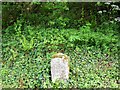 Milestone, Webberton Cross