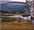 Loch Poulary outflow