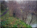 SO4574 : Riverside path at Forge Bridge by Trevor Rickard
