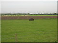 Farmland near High Stonehills