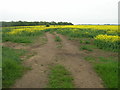 Farm Track near Lissett