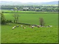 NT1369 : Farmland at Hatton Mains by M J Richardson