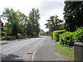 A  windy Spring day in Durley Avenue