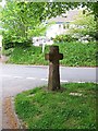 Village cross, Shillingford St George