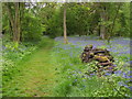 Footpath in Watlington Park