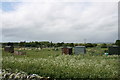 Allotments, Shipton Under Wychwood