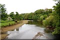 River Esk from Ruswarp Bridge