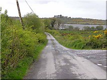 H0905 : The road to Rowan Lough by Oliver Dixon