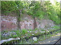 NZ0736 : Old railway station platform and possible site of waiting room, Wolsingham by Les Hull