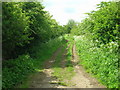 Bridleway towards Lingholm Farm