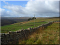 Pastures near Leadgate